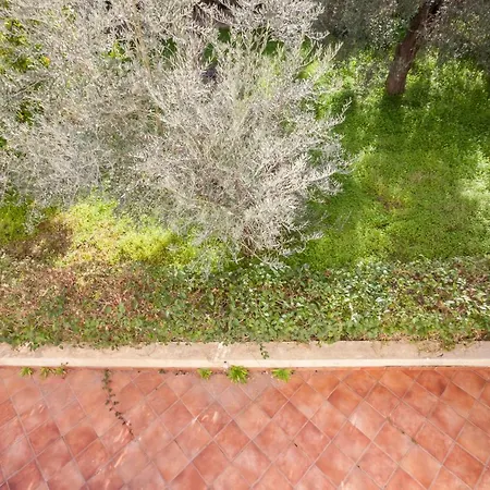 Apartament Doris House